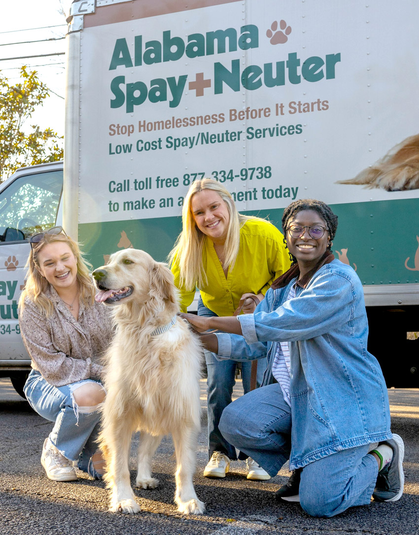 Alabama Spay Neuter Clinic staff and volunteers with a Golden Retriever in front a Hip-to-Snip Express pet transport truck. Photo by Alabama Spay Neuter.